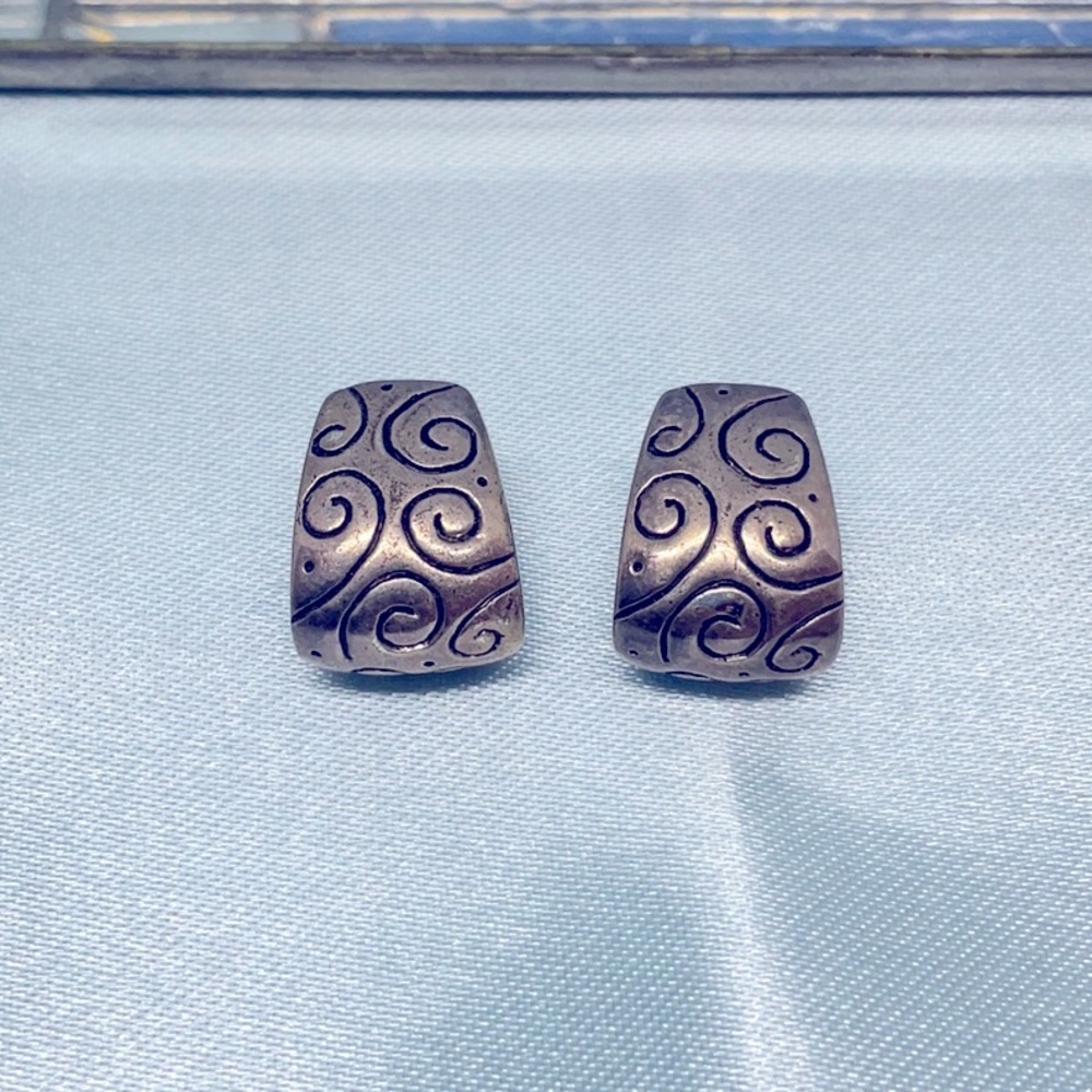 Beautiful Silver Loop Earrings
